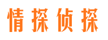 桓仁市调查公司